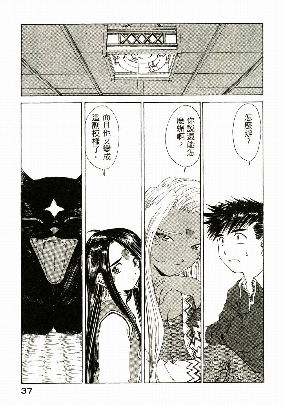 第37页