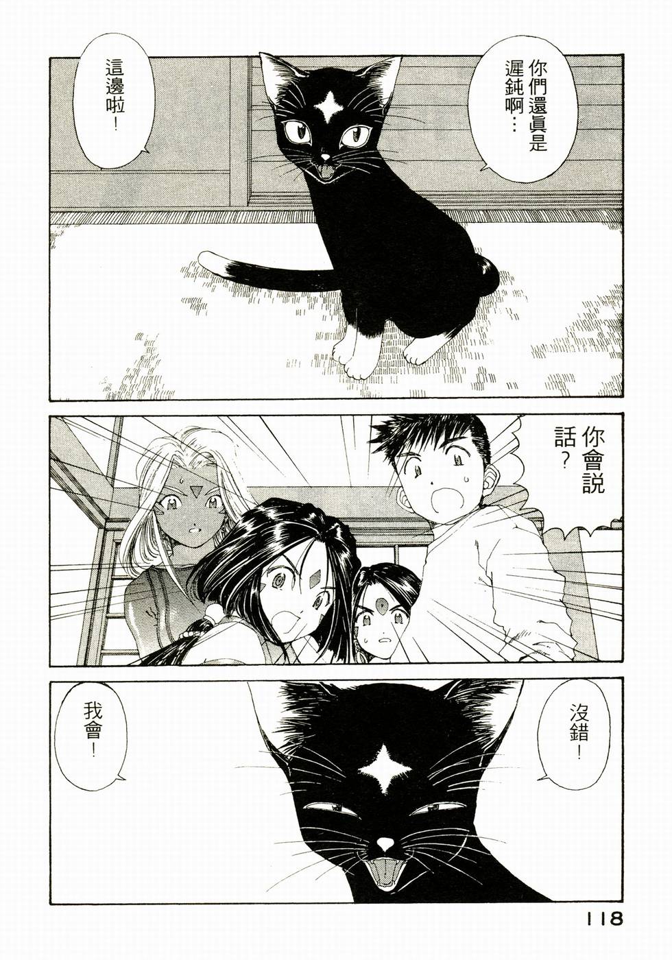第116页
