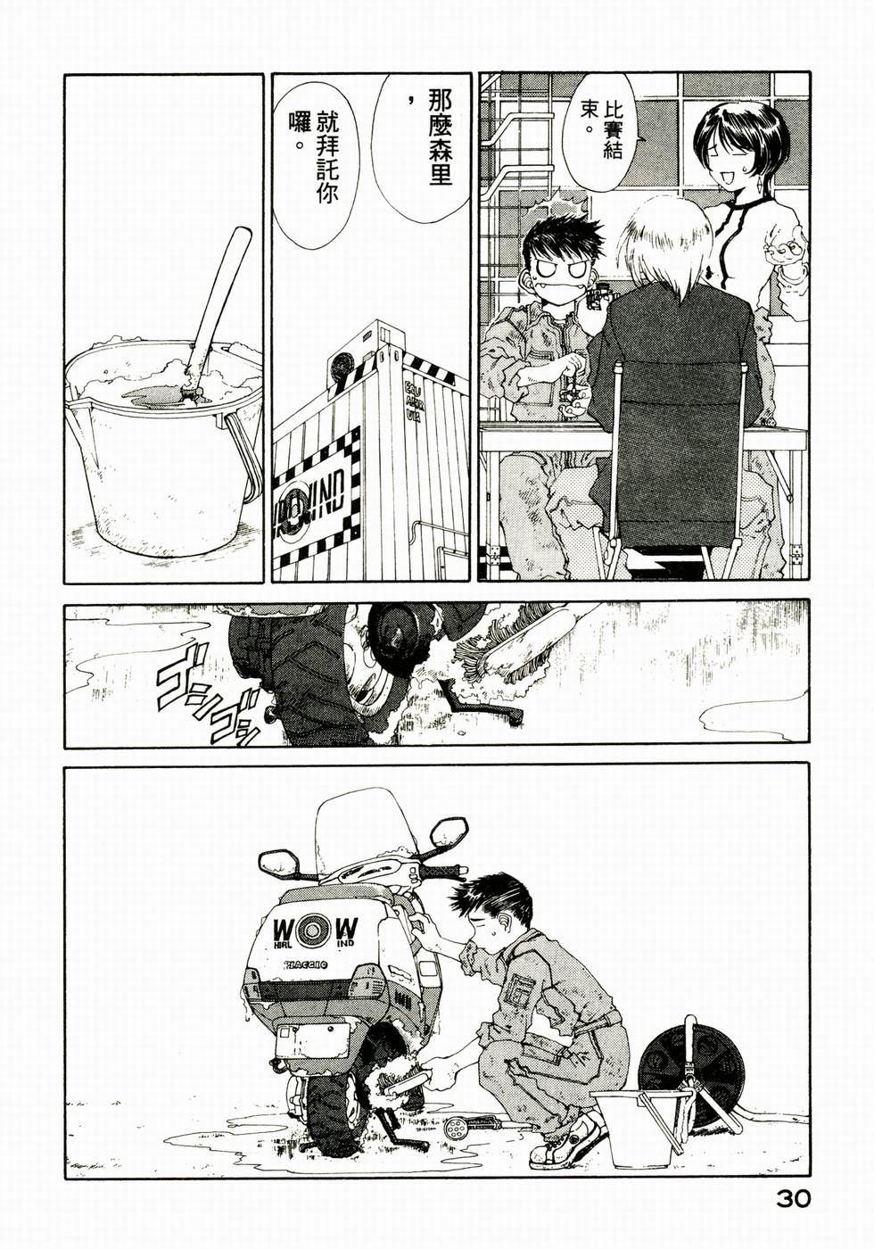 第30页