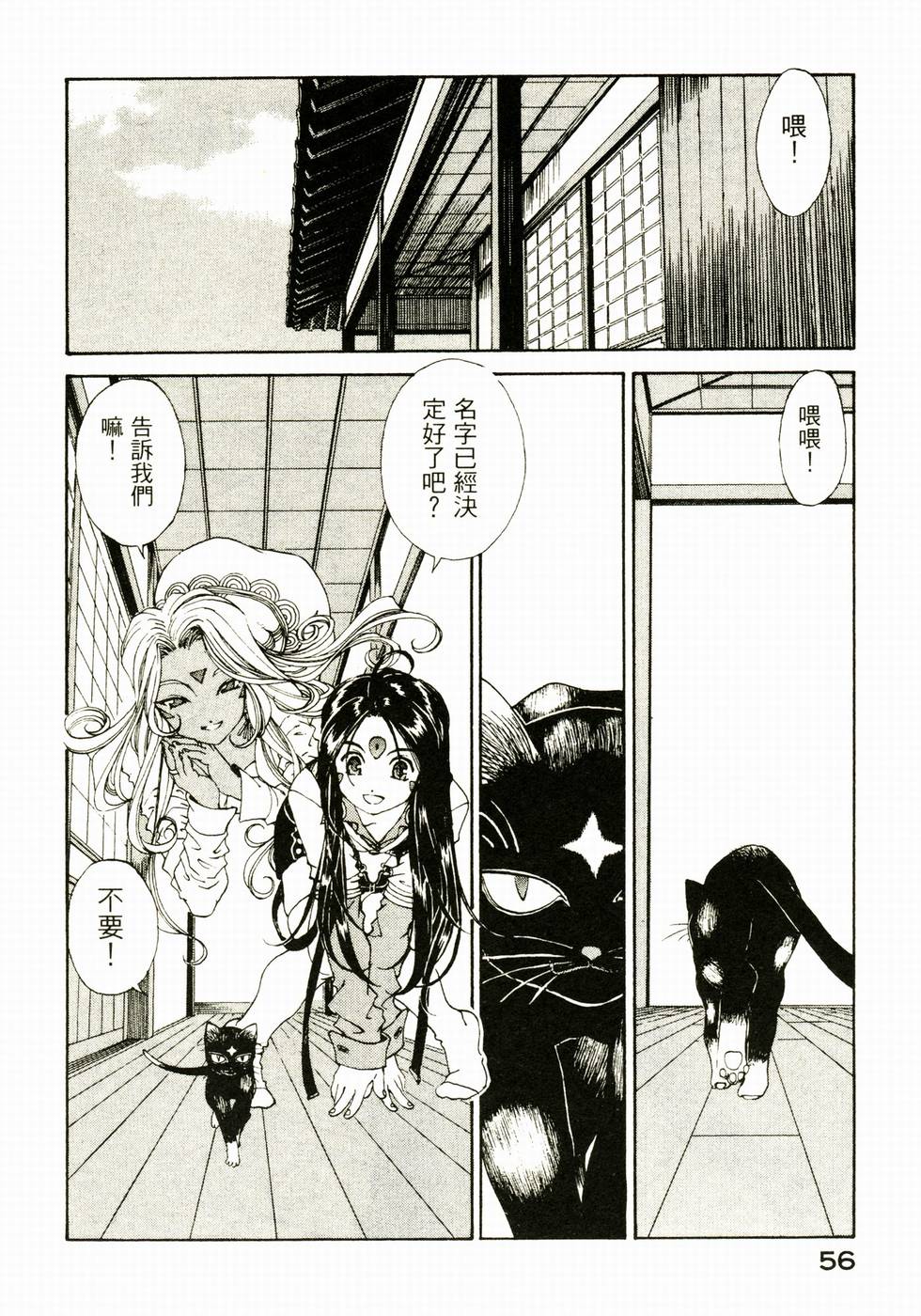第55页