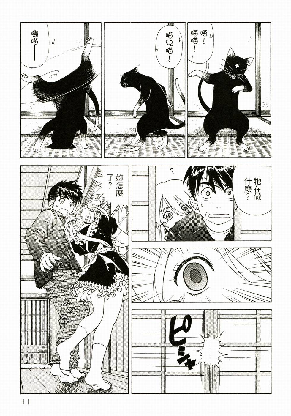 第11页