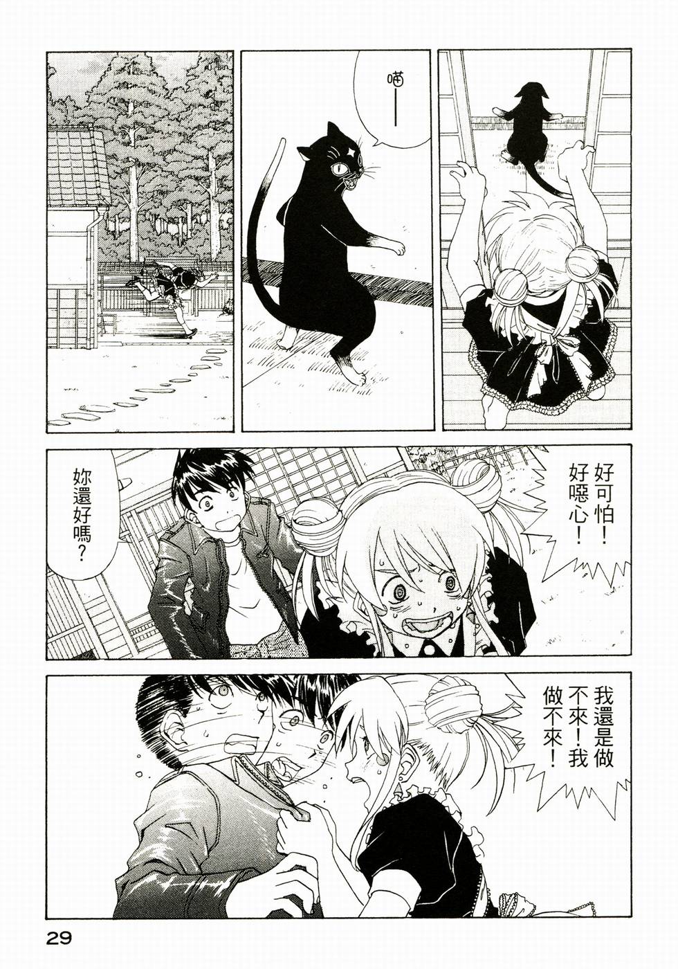 第29页