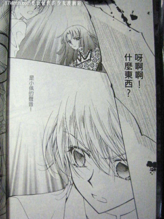 第204页