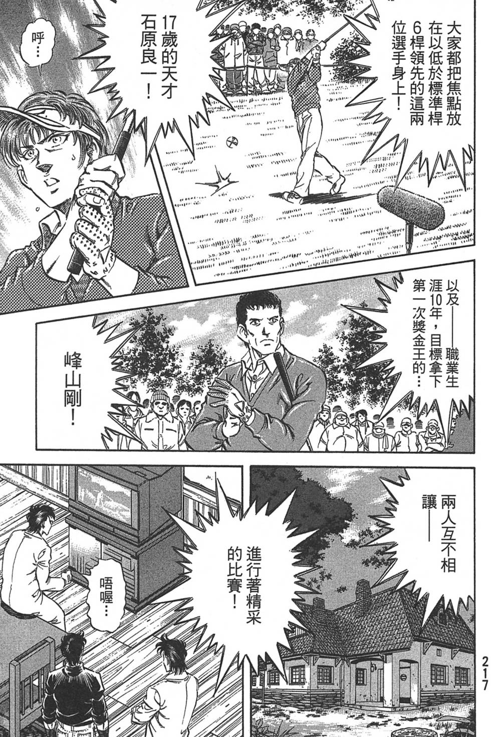 第217页