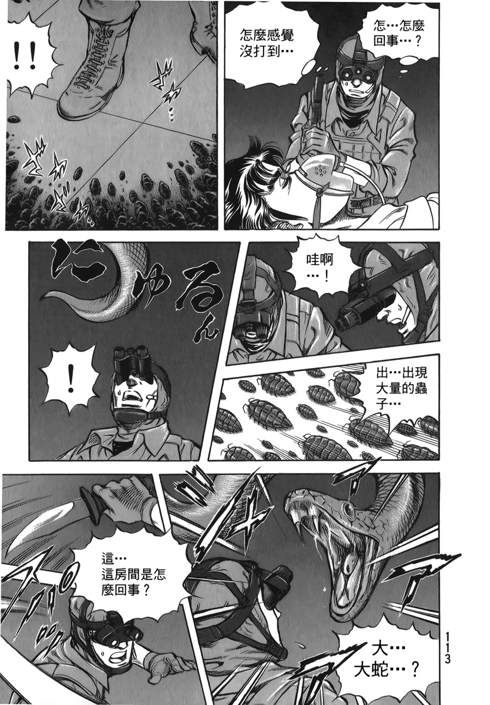 第113页