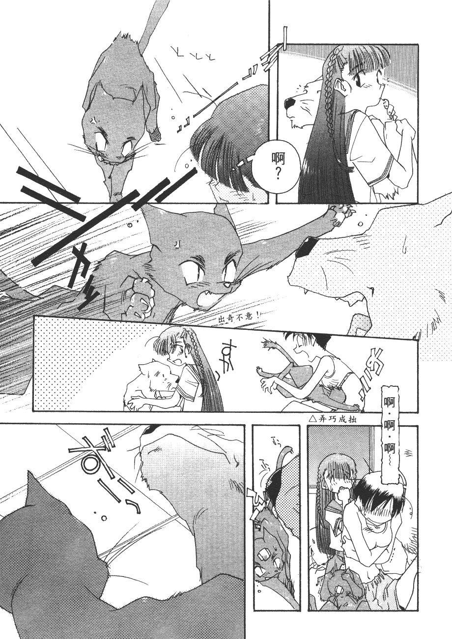 第161页