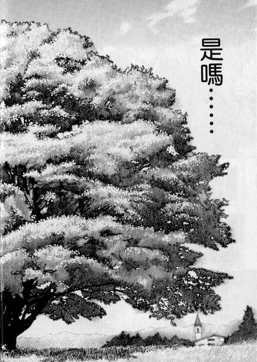 第206页