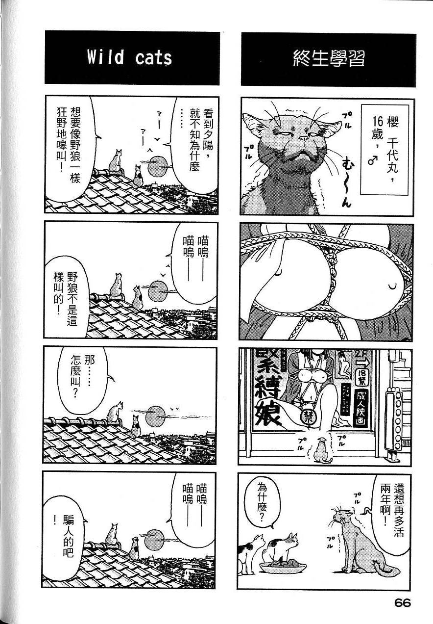 第63页