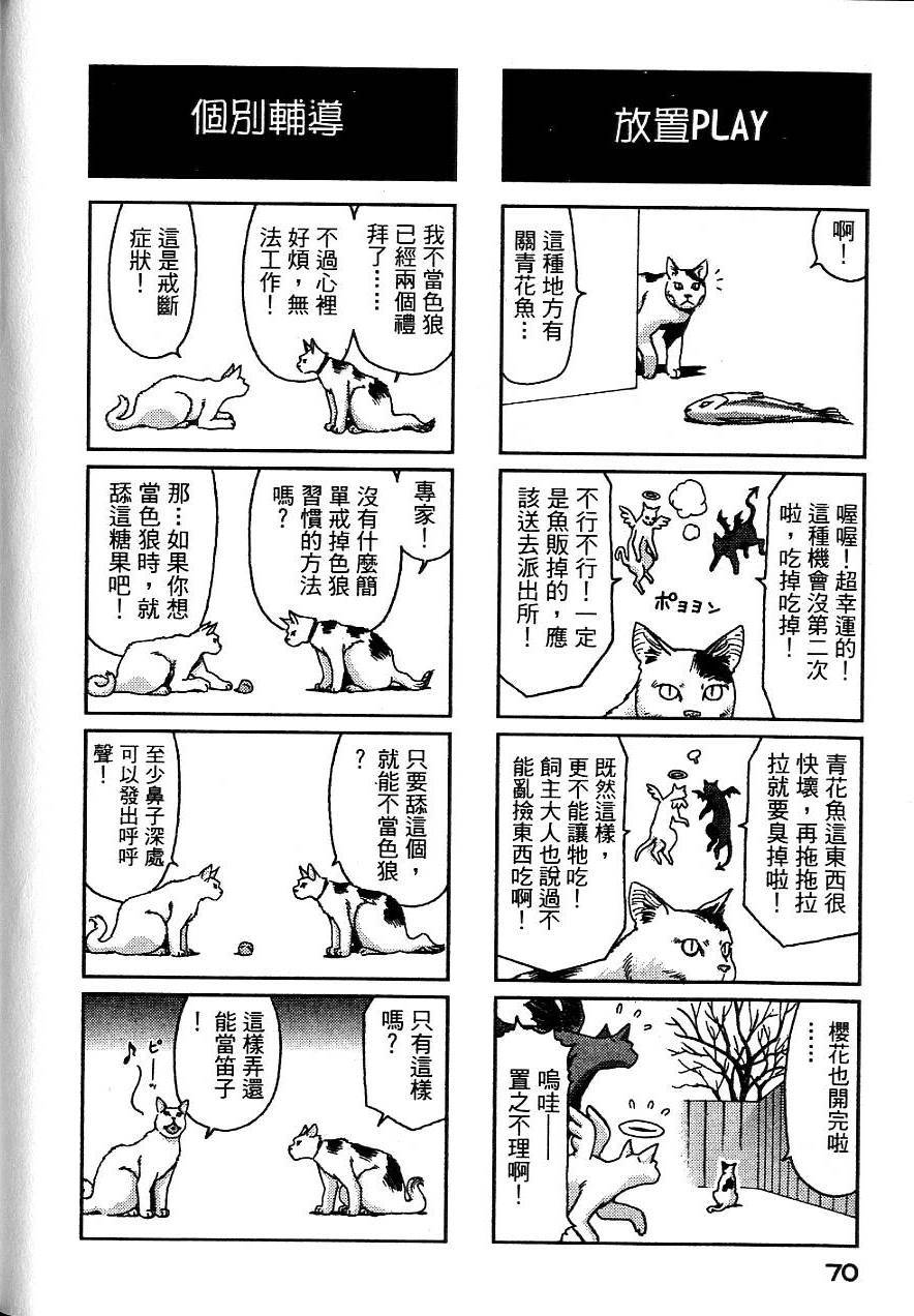 第67页