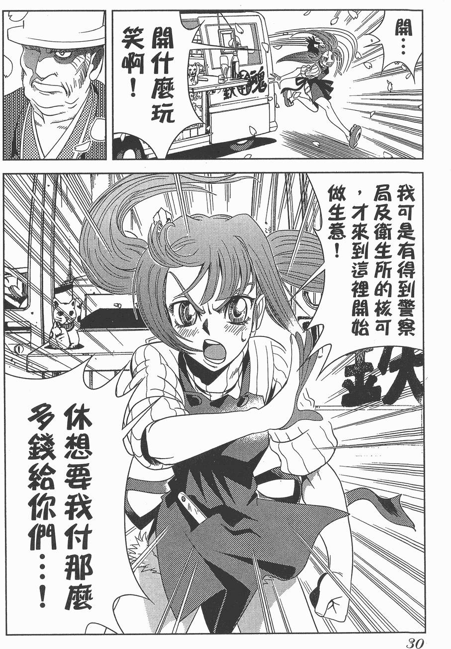第29页
