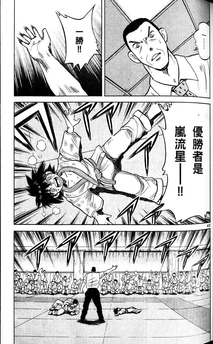 第43页