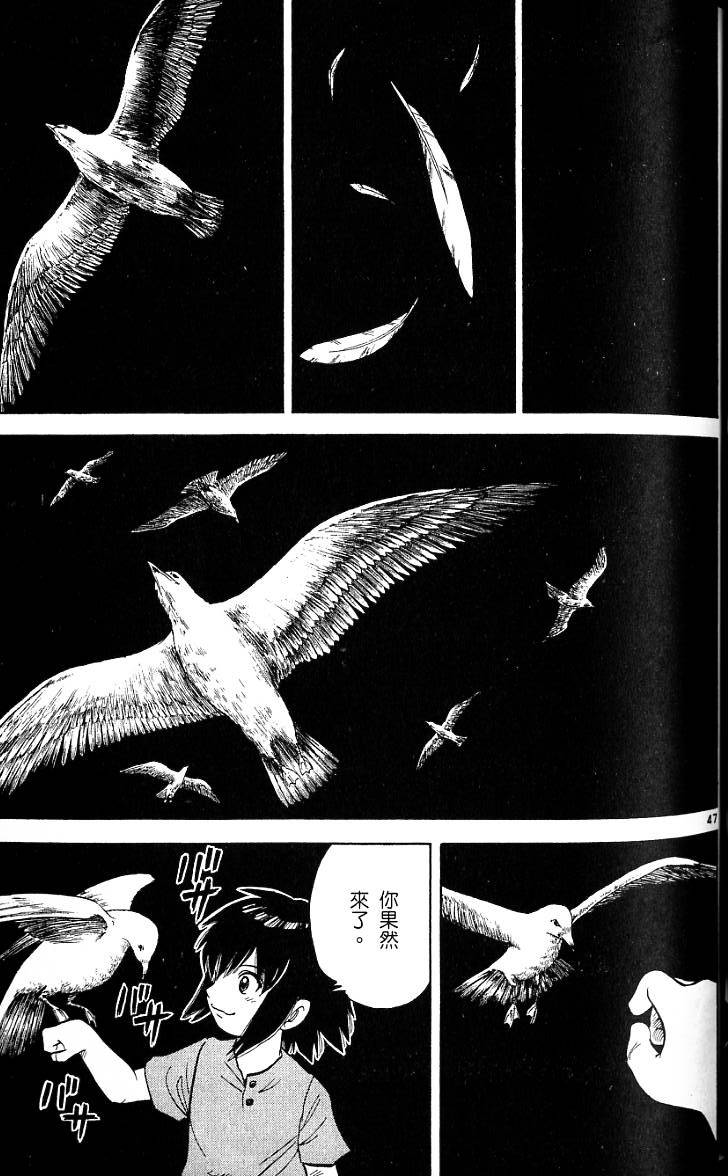 第47页