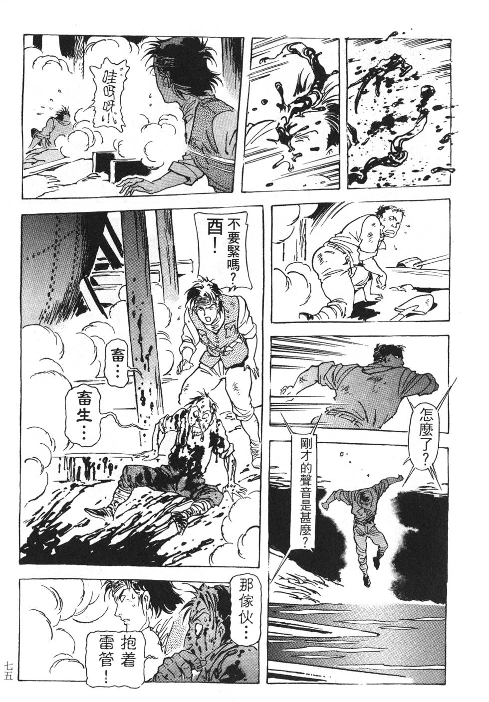 第73页