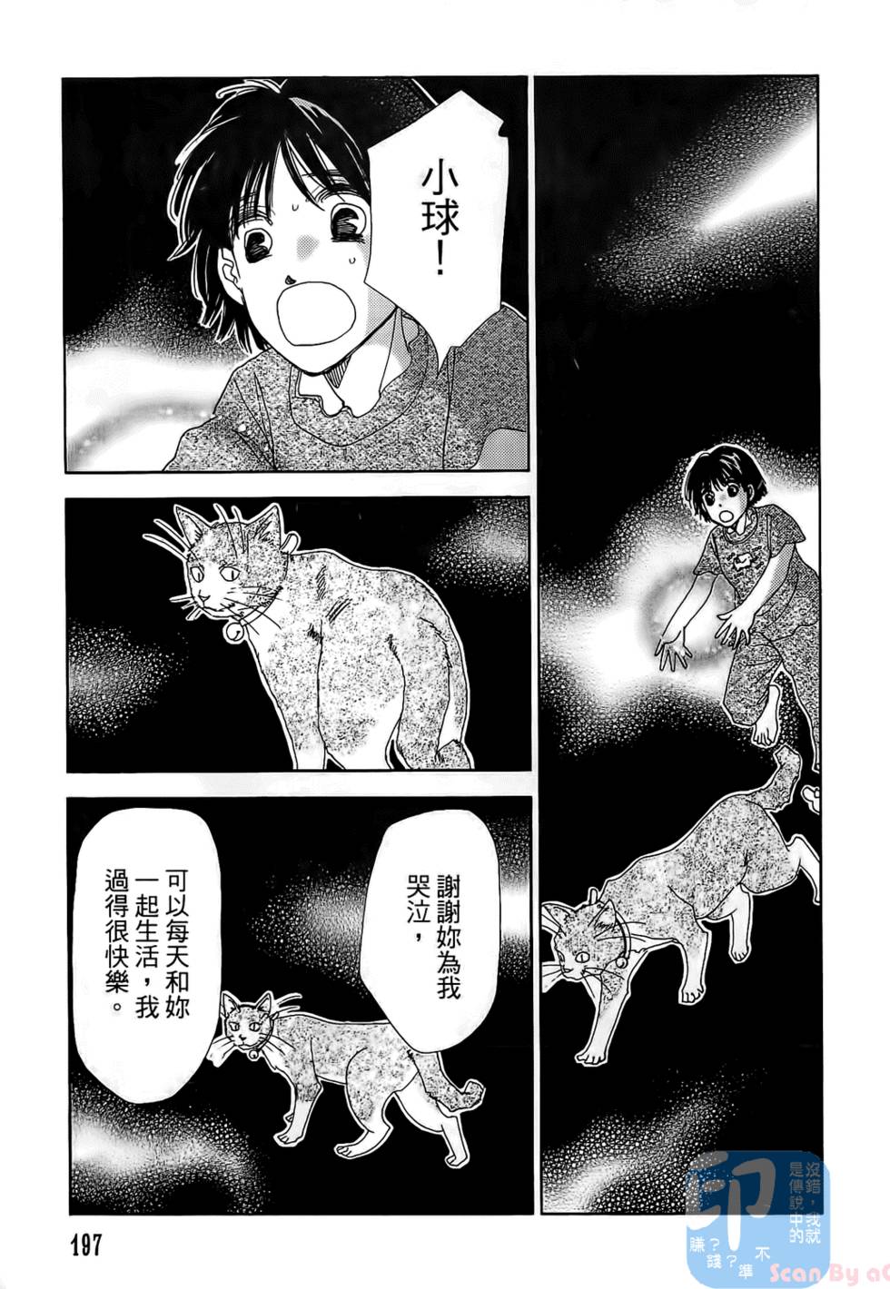 第194页