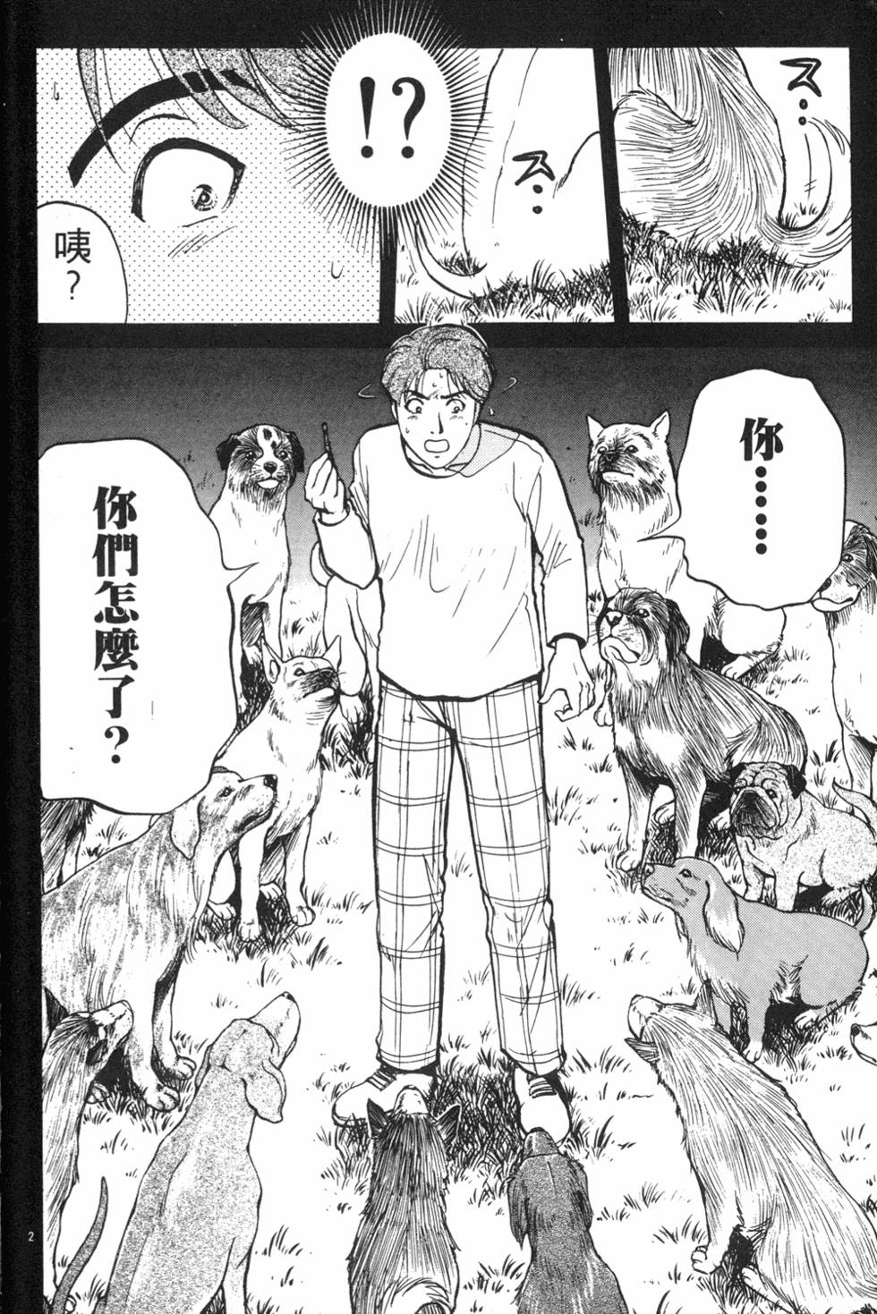 第204页
