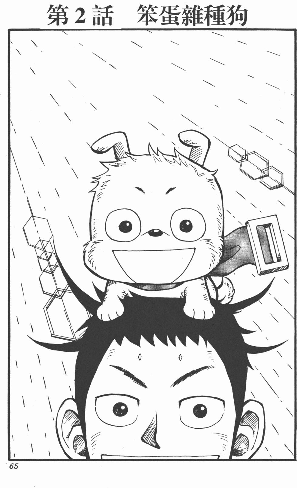第62页