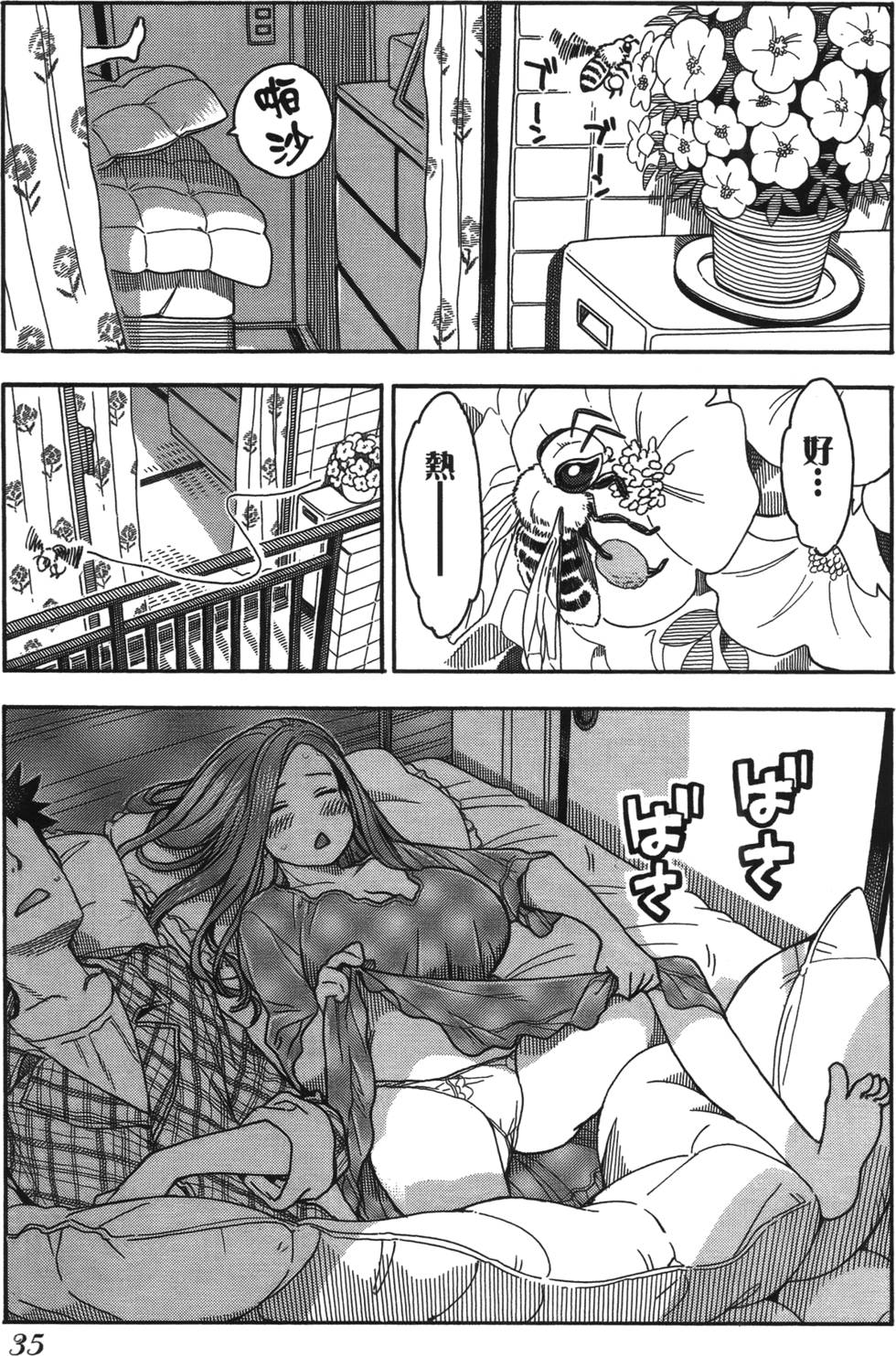 第33页