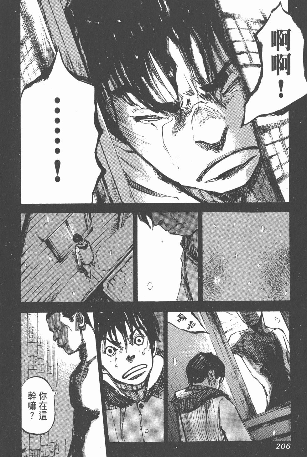 第204页