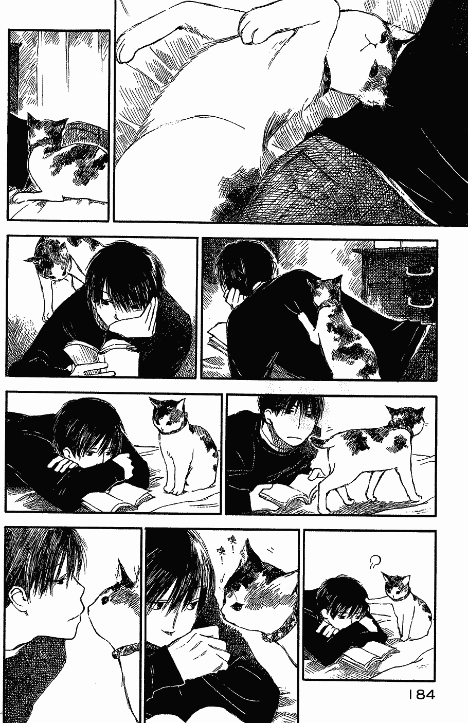 第183页