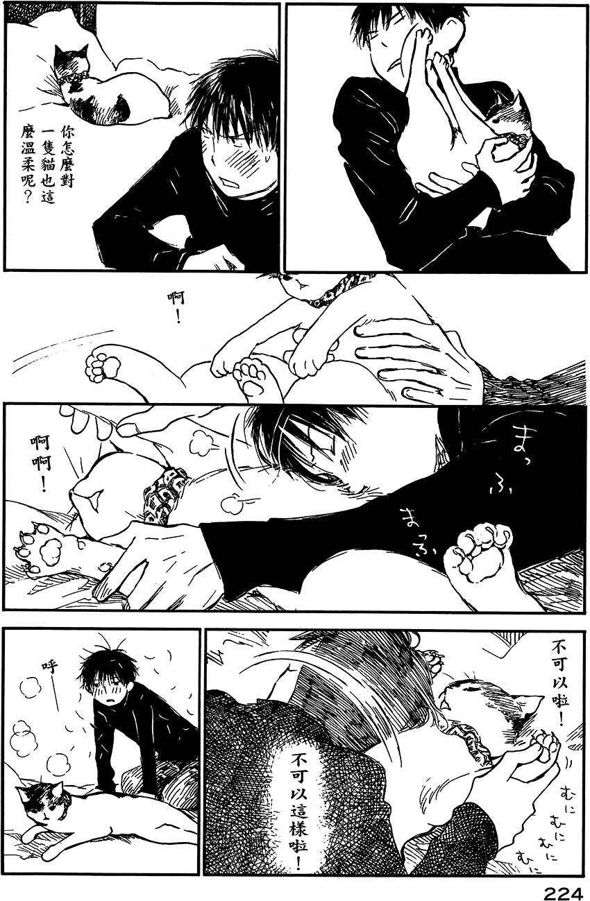 第221页