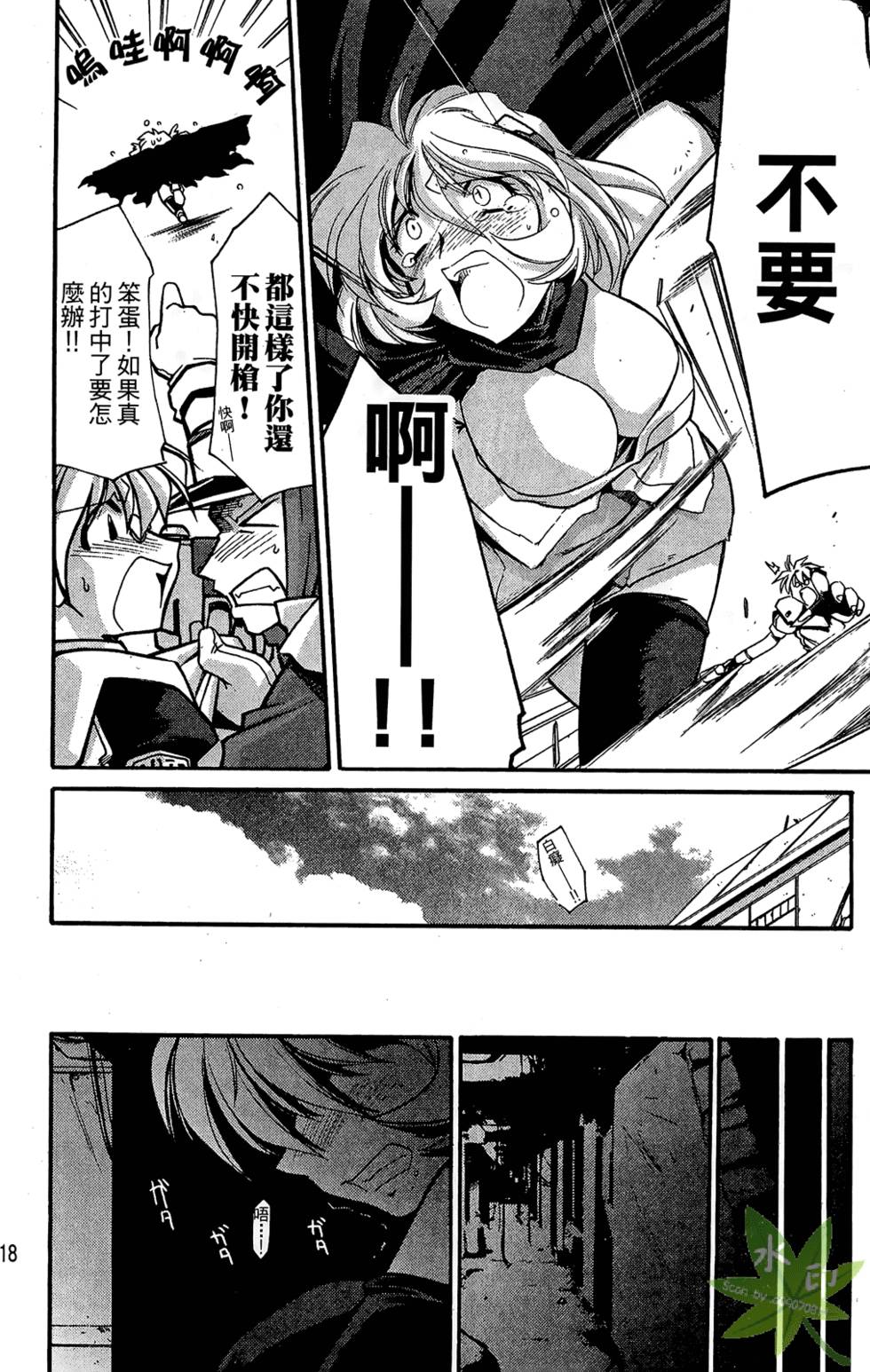 第17页