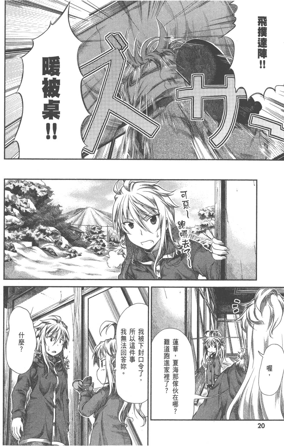 第20页