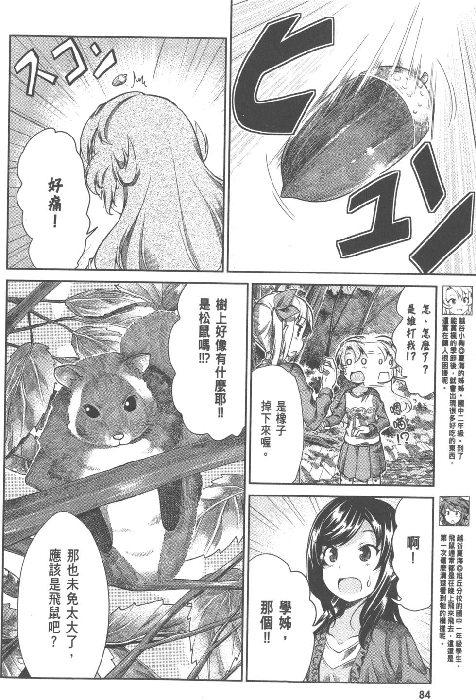 第84页