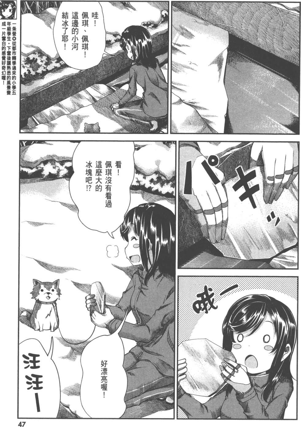 第47页