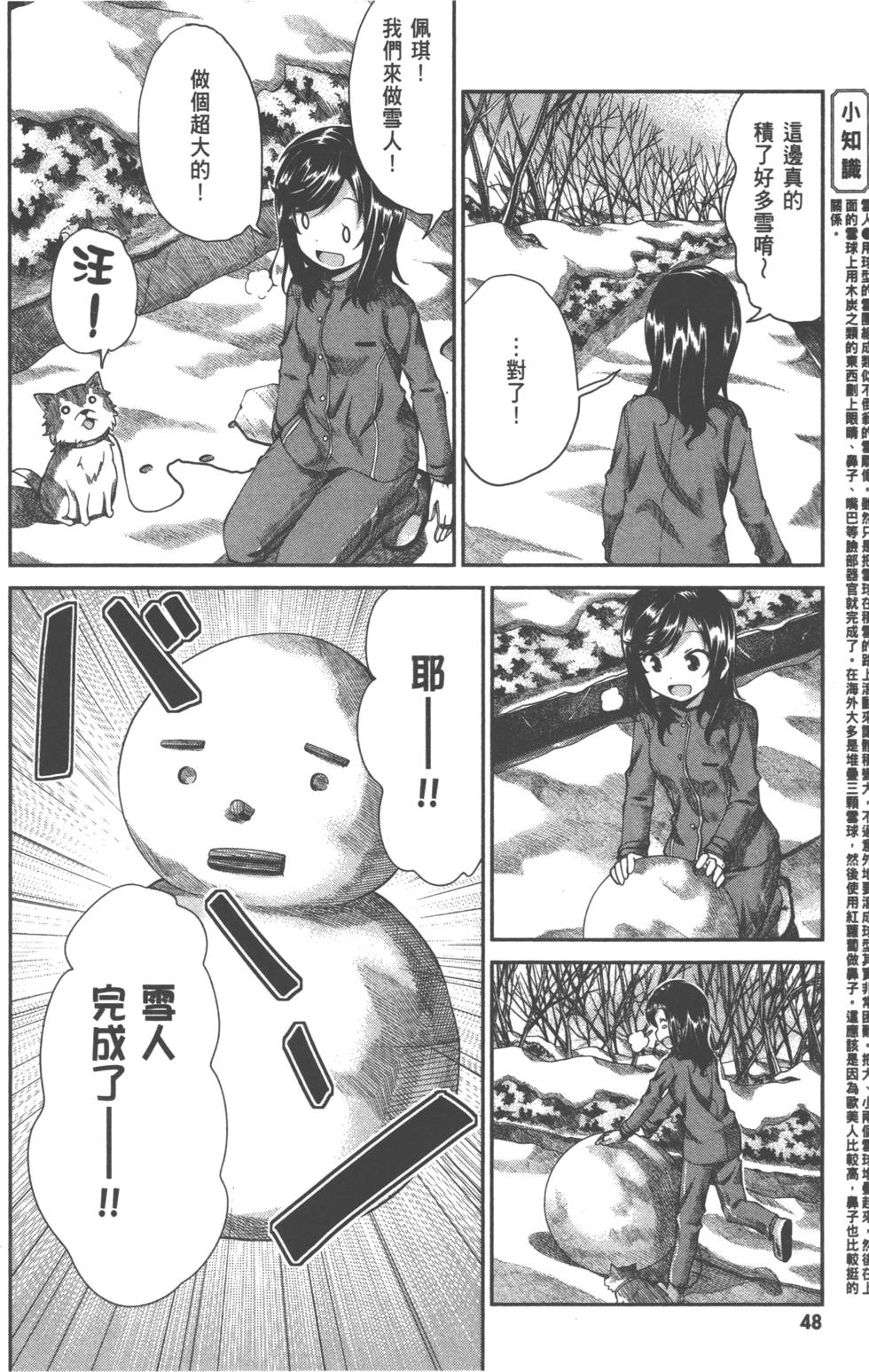 第48页