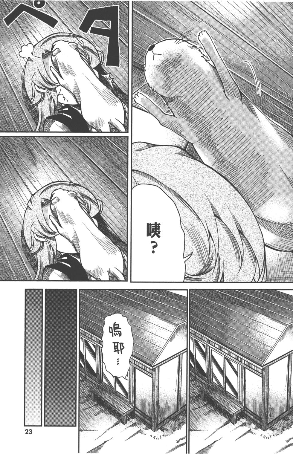 第23页