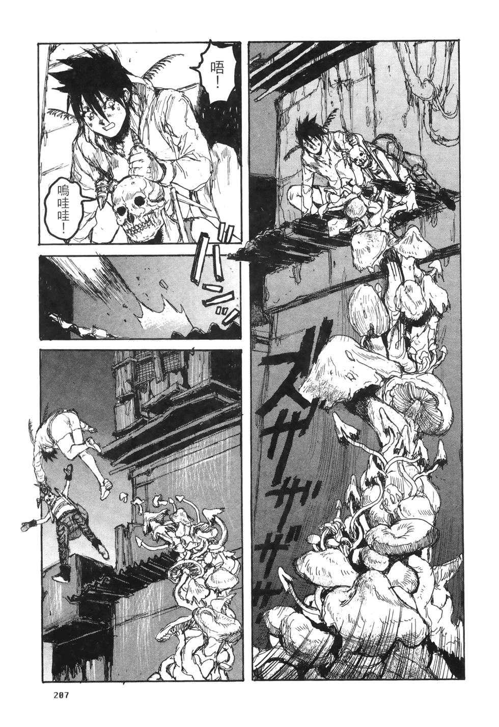 第204页