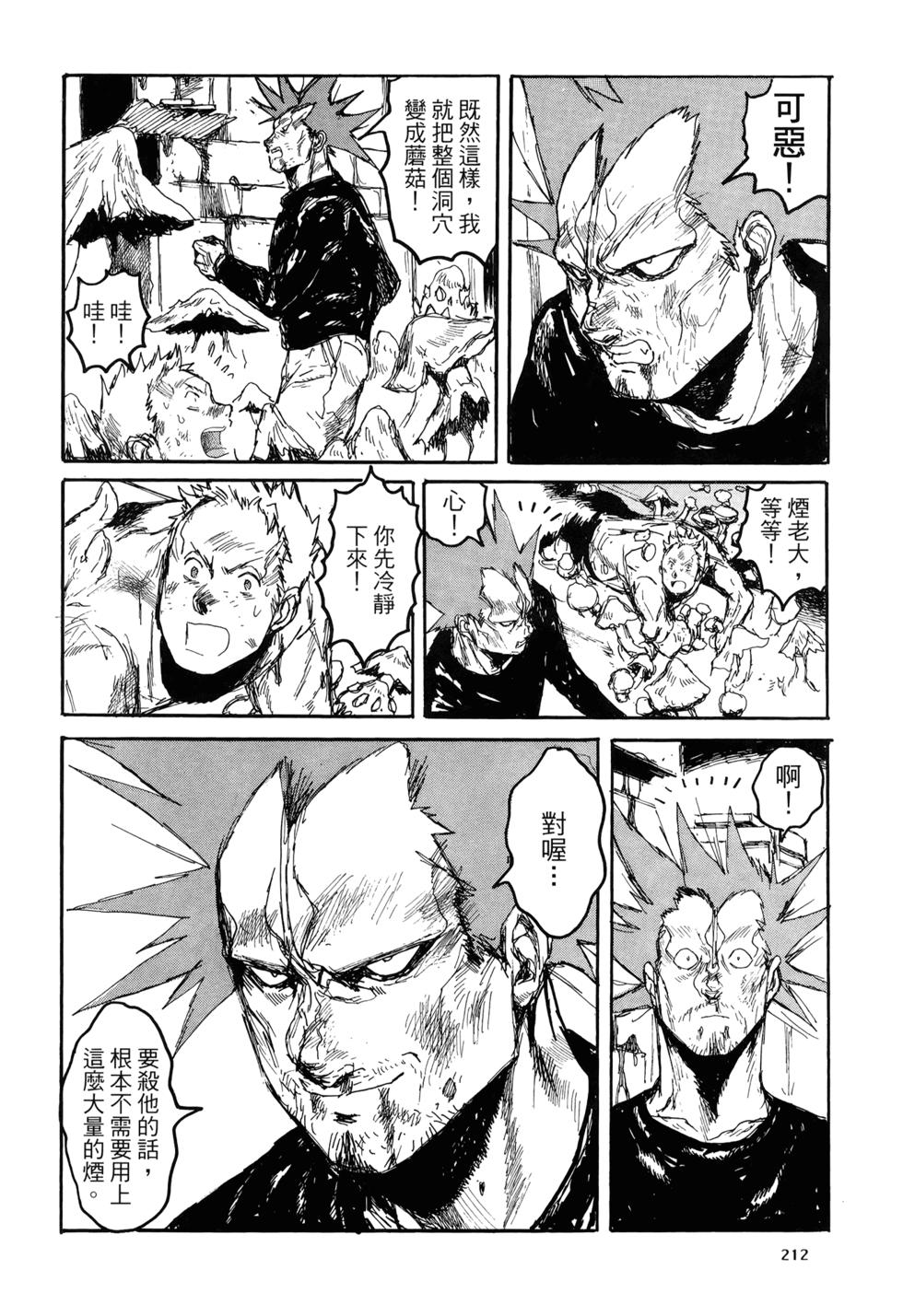 第209页