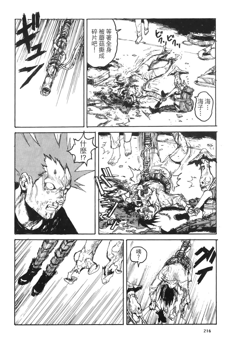 第213页