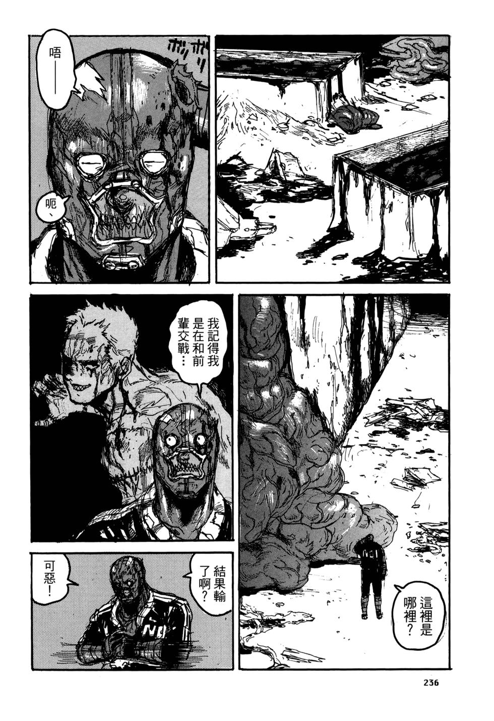 第233页