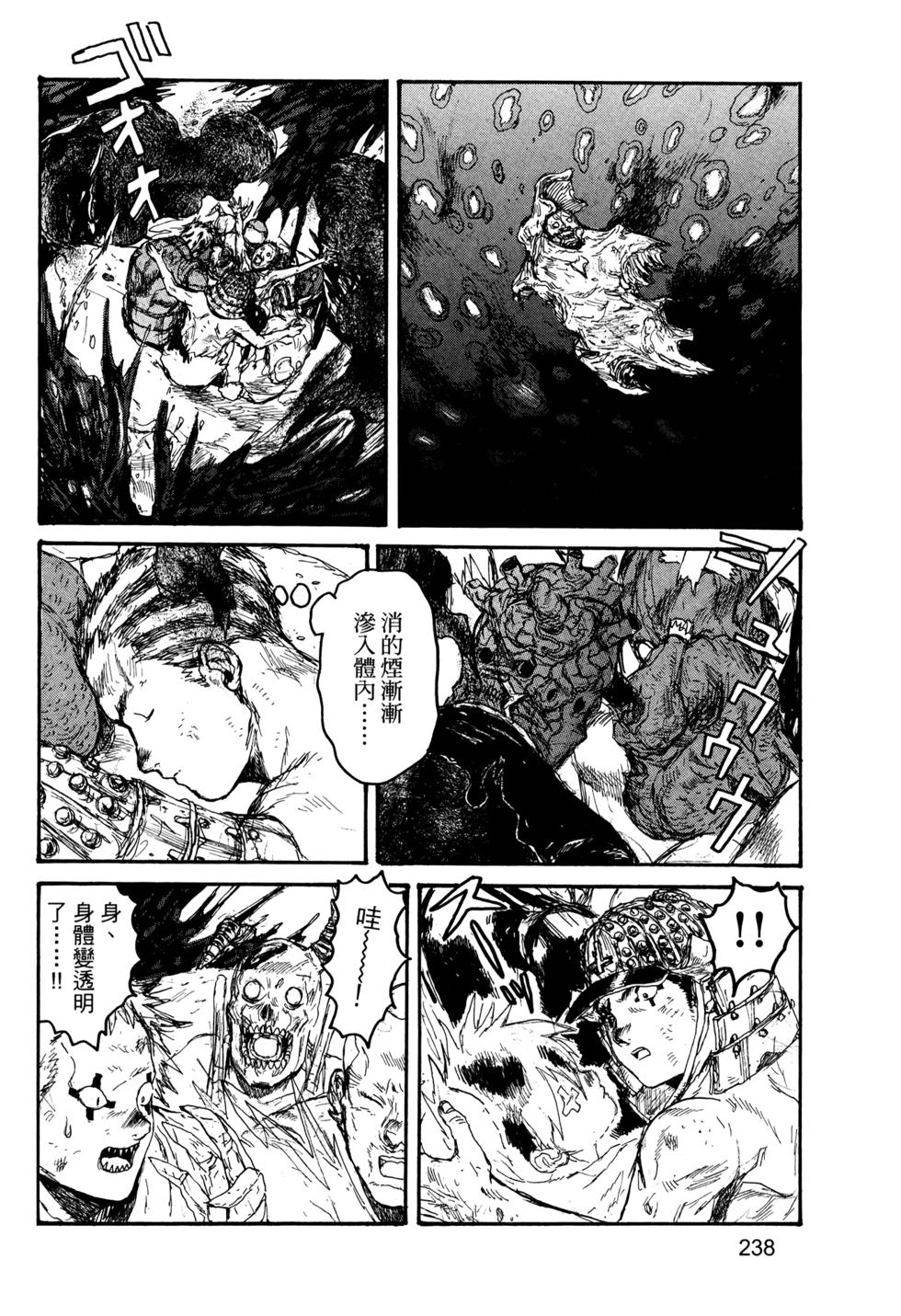 第234页