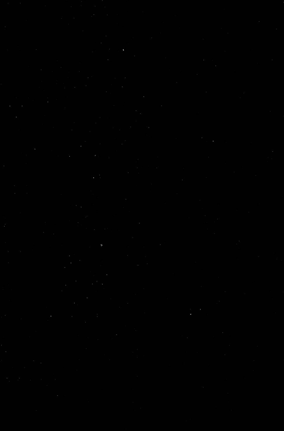 第212页