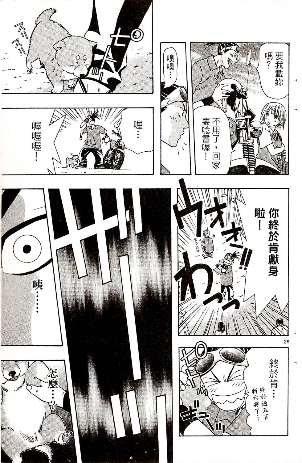 第29页