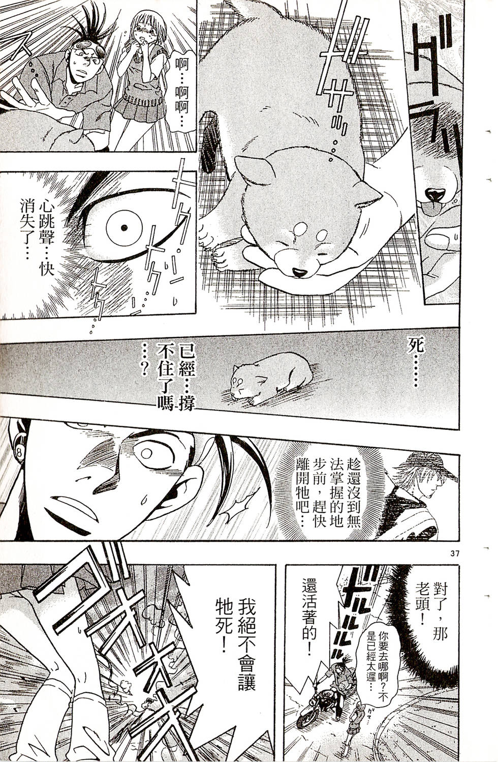 第37页