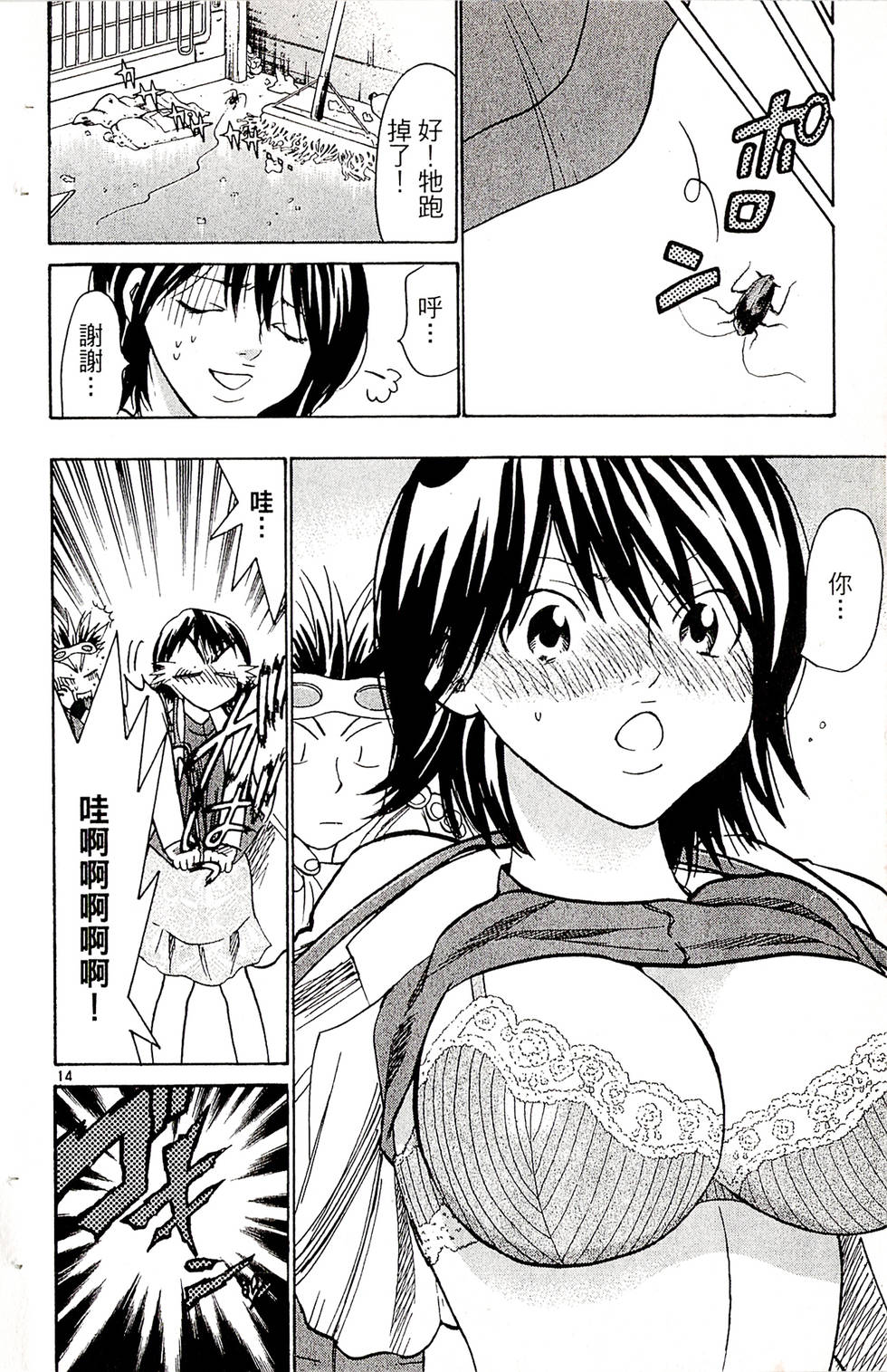 第14页