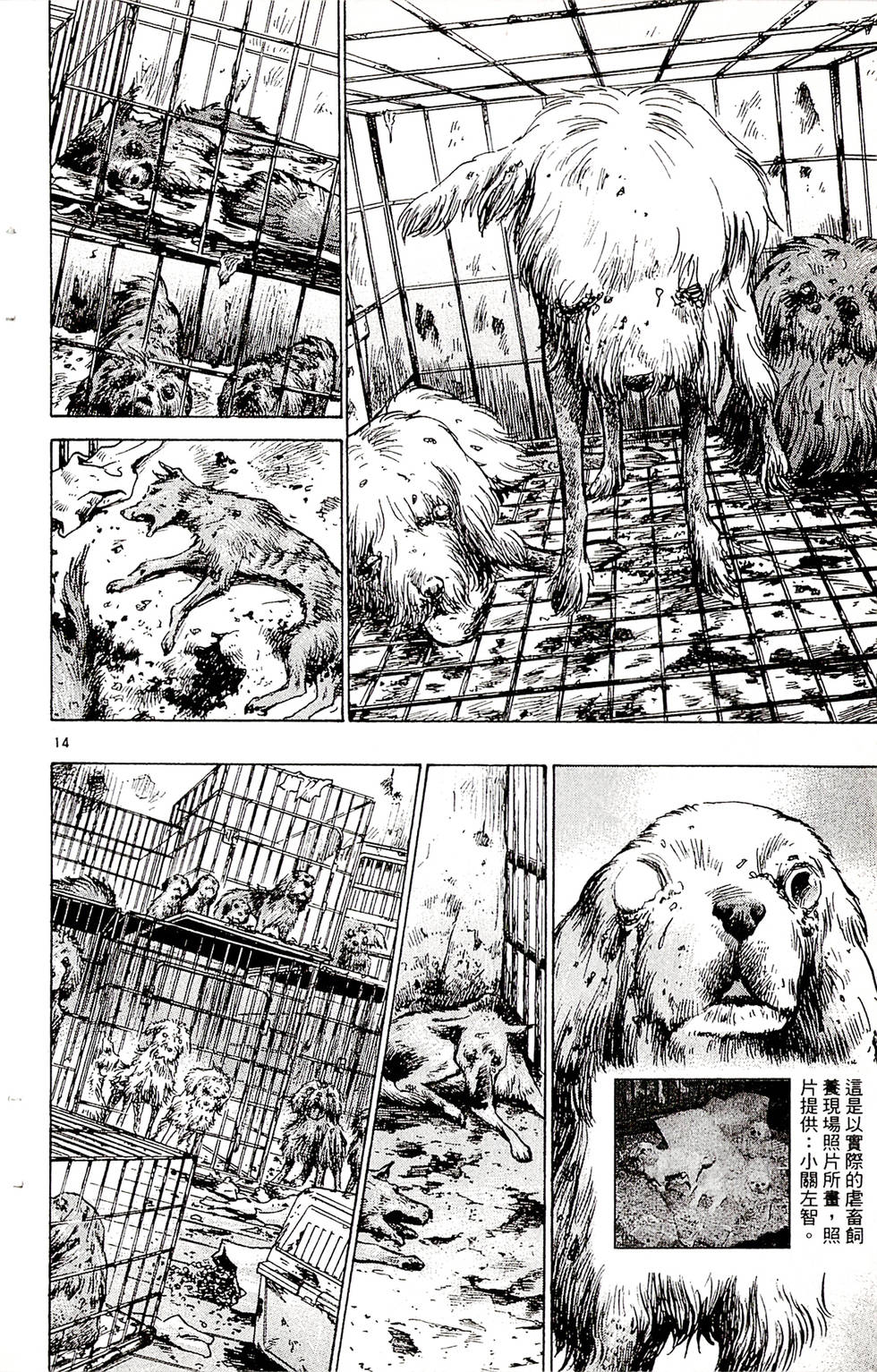 第186页