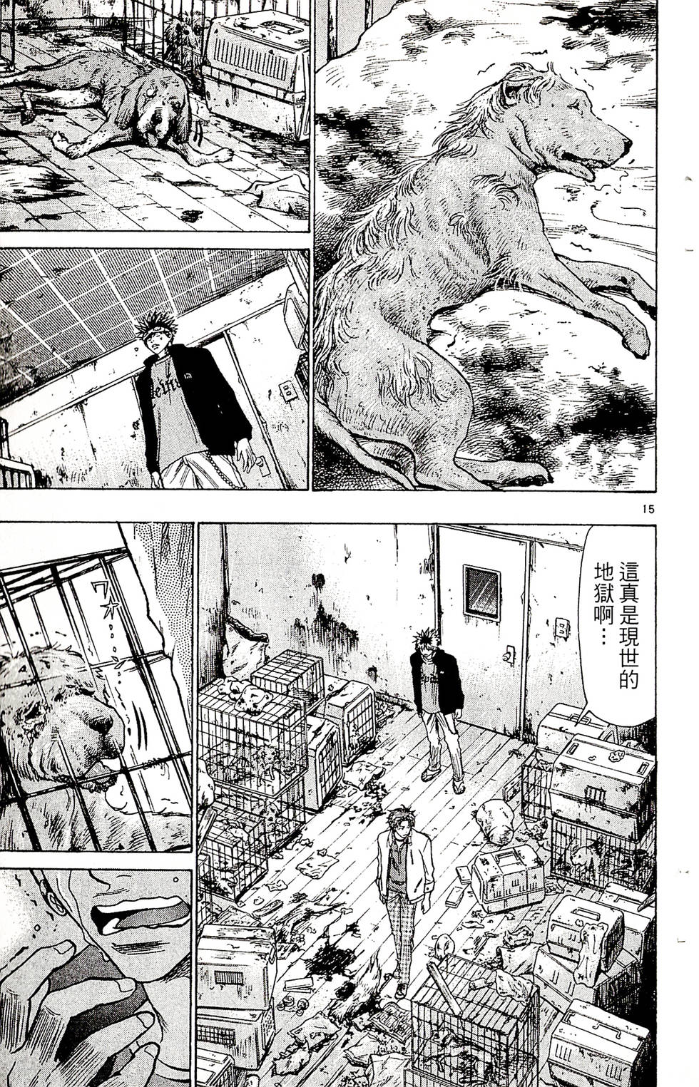 第187页