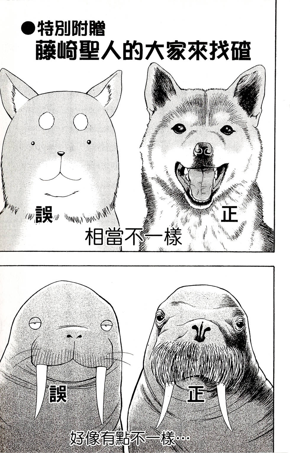 第187页