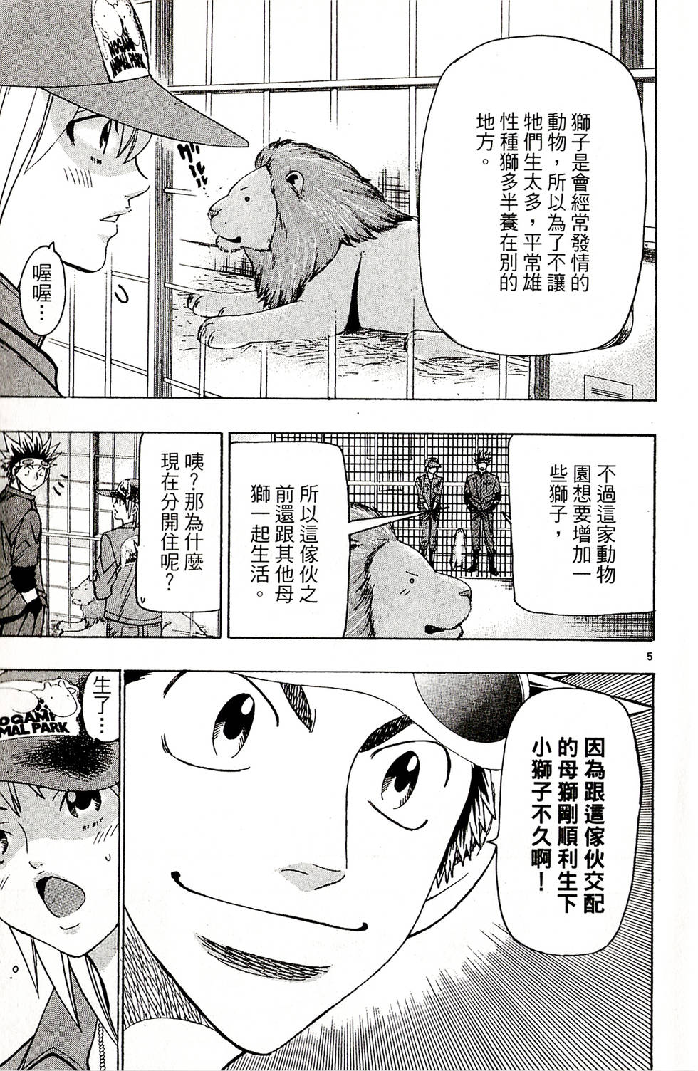 第5页
