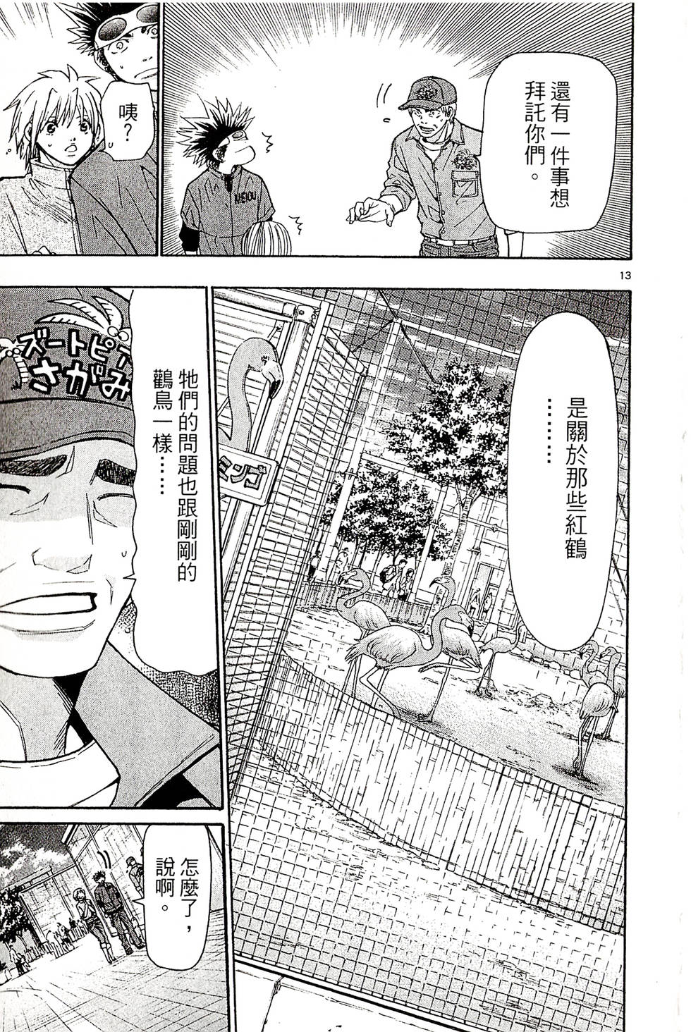 第13页