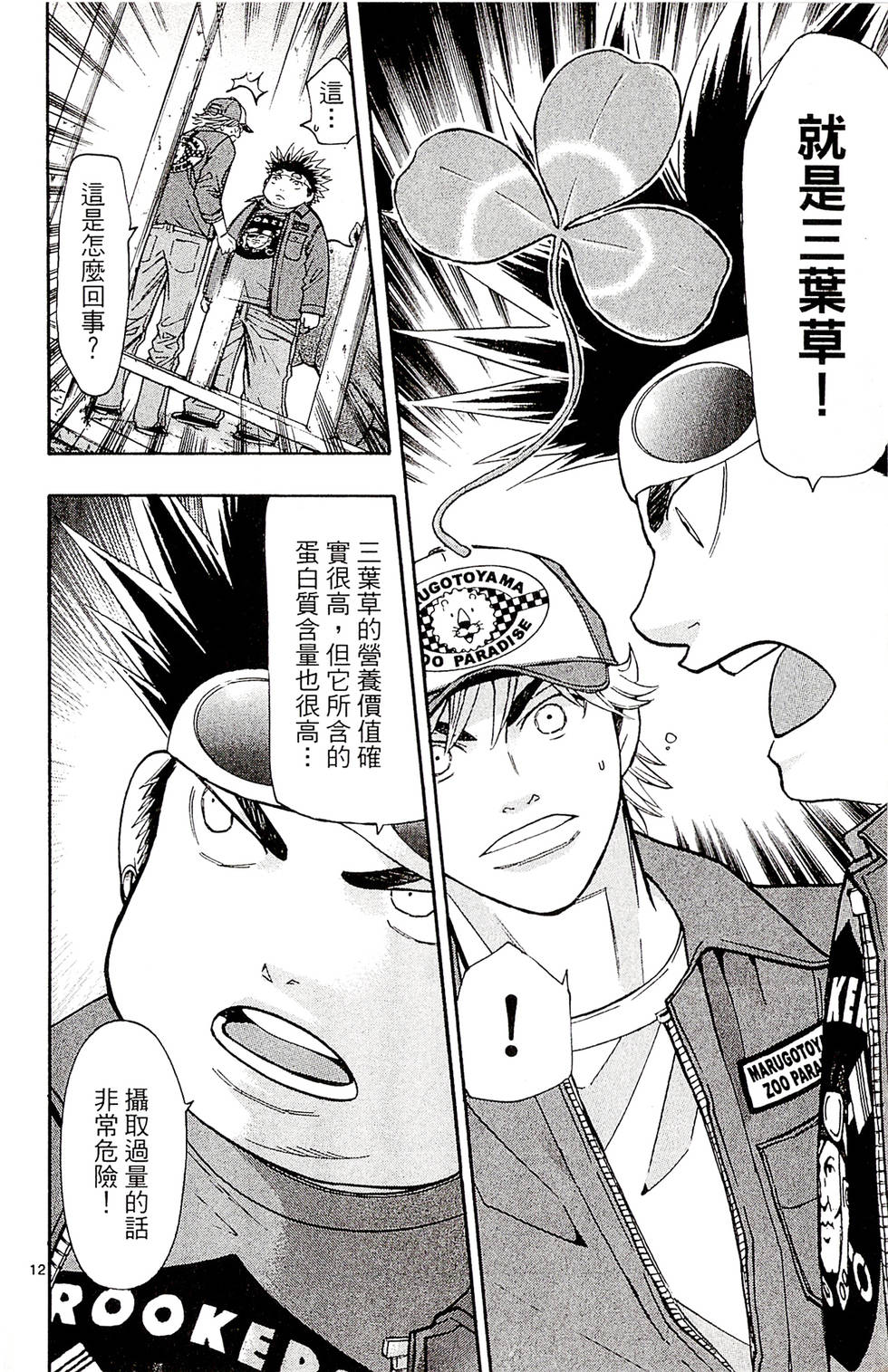 第12页