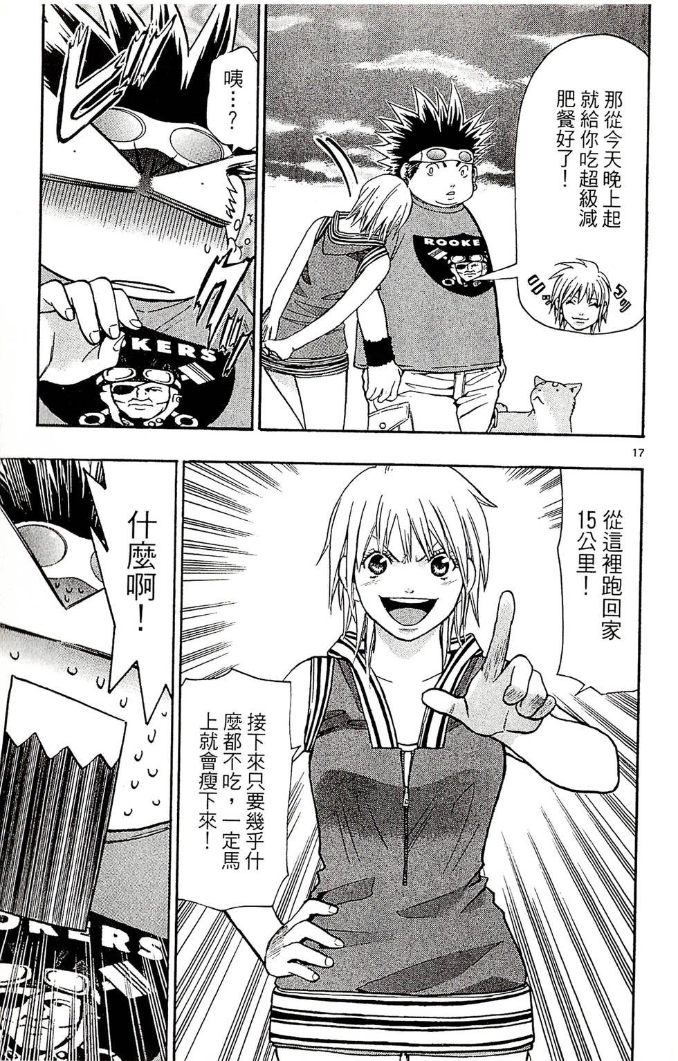 第17页