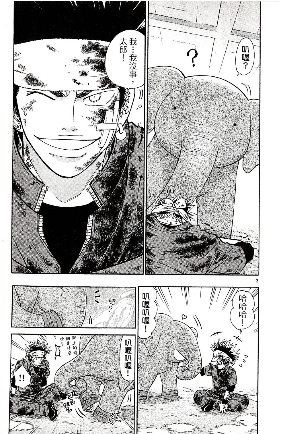 第3页