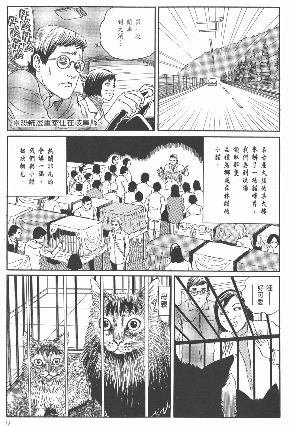 第9页