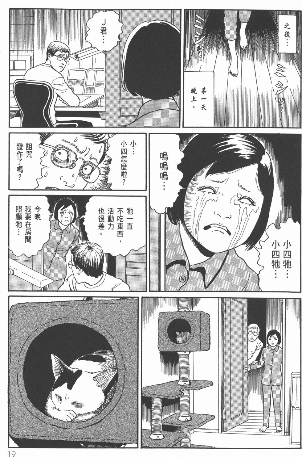 第19页