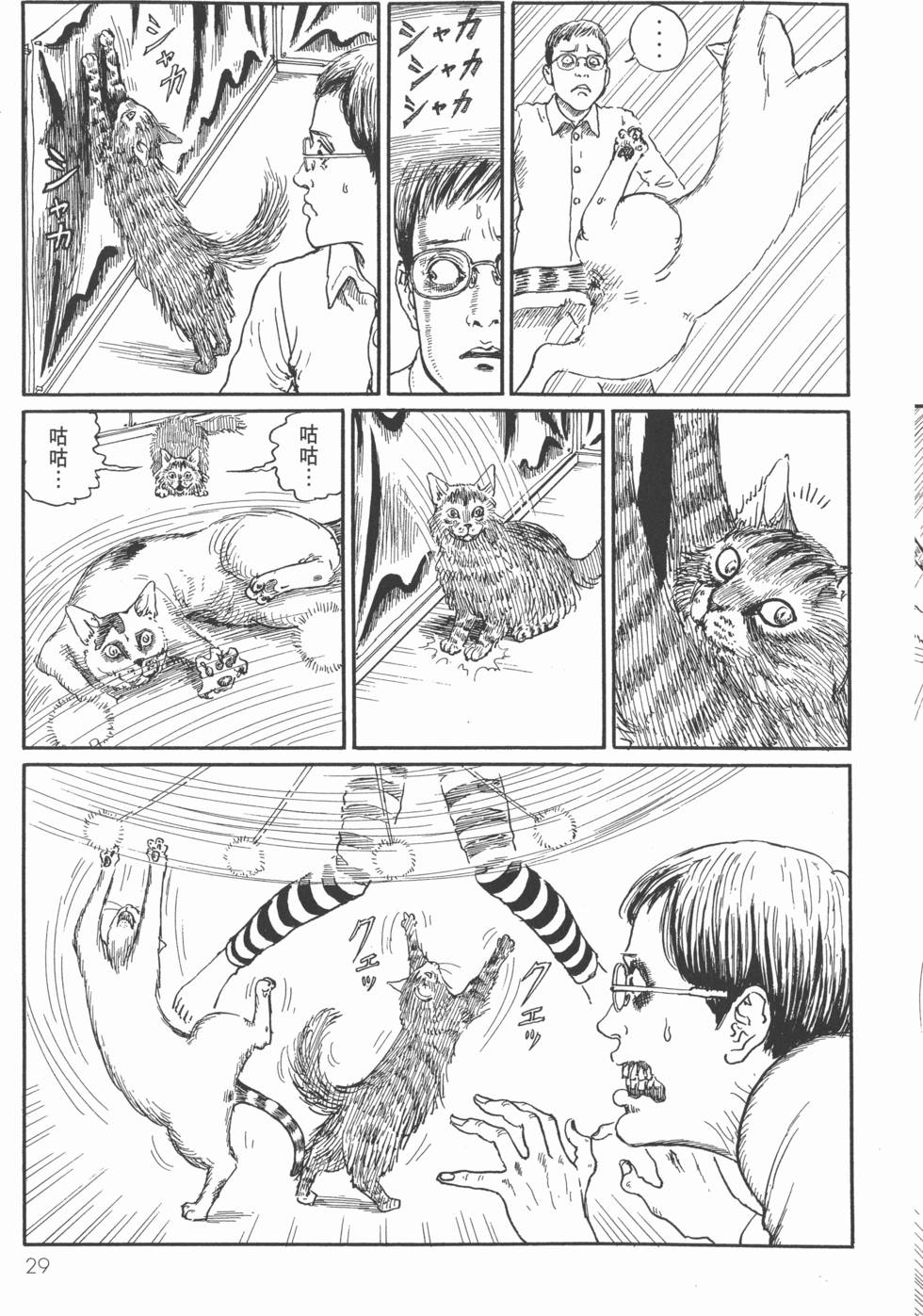第29页